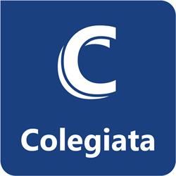 Colegiata, Alcorcón