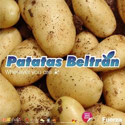 Patatas Beltrán S.l., Daya Vieja