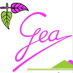 Herbodietética Gea, Huesca
