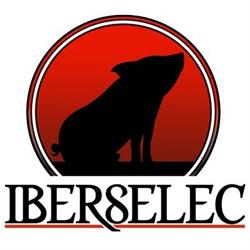 Iberselec Montanchez S.a.