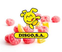 Disgo S.A., Parets del Valles