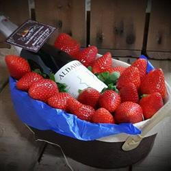 Frutas Tejero S.L., Monzón