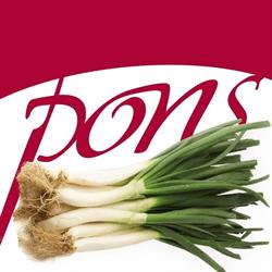 Cansaladeria Pons, Valls