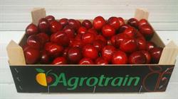 Frutas Agrotrain, Ricla
