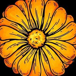 Herboristeria Calendula, Sada