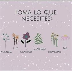 Herbodietética El Nogal, Massamagrell