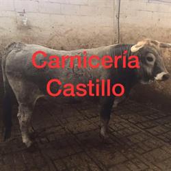 Carnicería Castillo, Laredo
