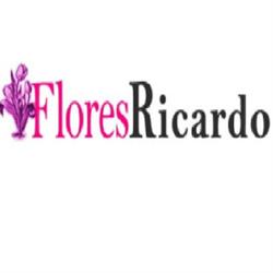 Flores Ricardo, Sevilla