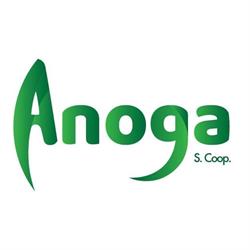 Anoga S.cv., Zurbano