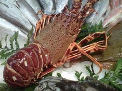 Peixateria Valls, Blanes