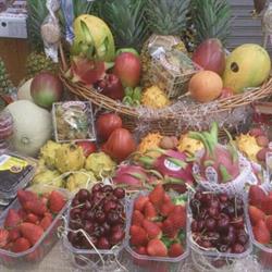 Fruteria Fonseca Corrales S.L.U., Martorell