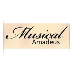 Musical Amadeus, Coslada
