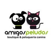 MYA; Molly Max y Ana Esther, Pasaia