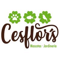 Cesflor's, Madrid