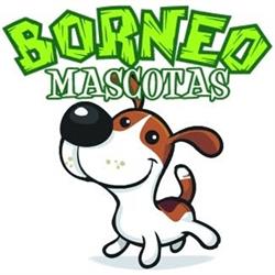 Borneo, Móstoles