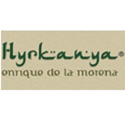 Ringcentral E Hyrkanya, Alcobendas