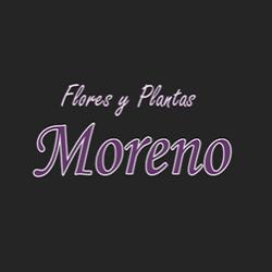 Flores y Plantas Moreno, Madrid
