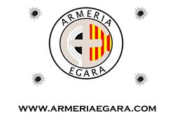 Armeria Egara, Terrassa