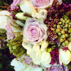 Floristería Raquel, Tordesillas