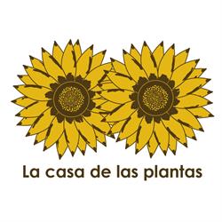 la Casa de las Plantas, Madrid