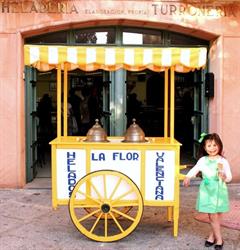 Heladería La Flor Valenciana, Ávila