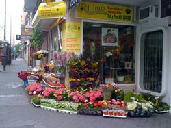 Floristería Lilium Madrid