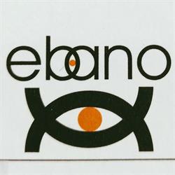 Ebano, Oviedo