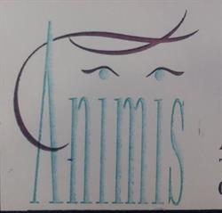 Animis Peluqueria, Llodio