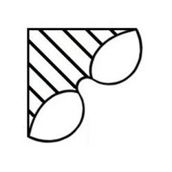 Optica del Ripolles