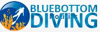 Blue Bottom Diving S.l., Adeje