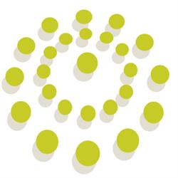 Cid Asesoría, Roquetes