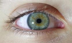 Optica Teule, Balaguer