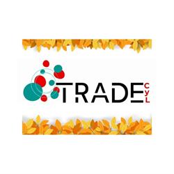 Tradecyl, Valladolid