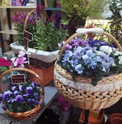 Floristería y Regalos Tere, Los Navalmorales