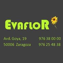 Evaflor, Zaragoza