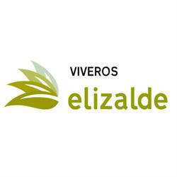 Viveros Elizalde, Zangoza