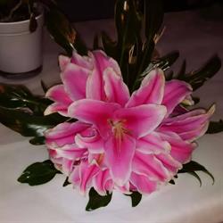 Floristería Jazmín, Torreperogil