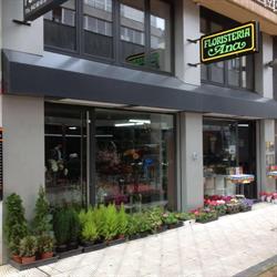 Floristeria Ana, Laredo