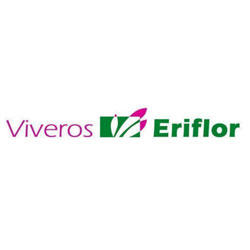 Viveros Eriflor, Aldeaseca de la Armuña