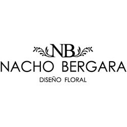 Nacho Bergara, Zaragoza