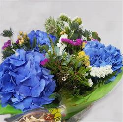 Calero Floristeria, Madrid