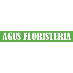 Agus Floristería, Elexalde