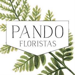 Pando Floristas, Llanera