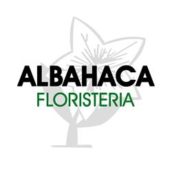 Floristería Albahaca, Huesca
