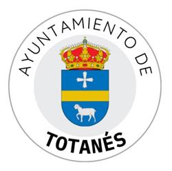 Ayuntamiento, Totanés