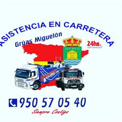 Asistencias Miguelón, El Ejido
