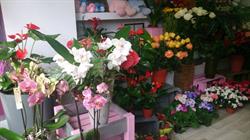 Yerard Floristas - Floristería en Carabanchel, Madrid