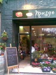 Musgo, Logroño