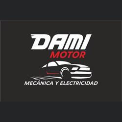 Dami Motor, Marbella