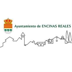 Ayuntamiento de Encinas Reales - Centralita